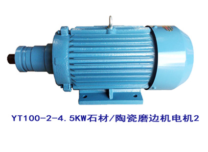 YT100-2-4.5KW YT100系列電機(jī)2